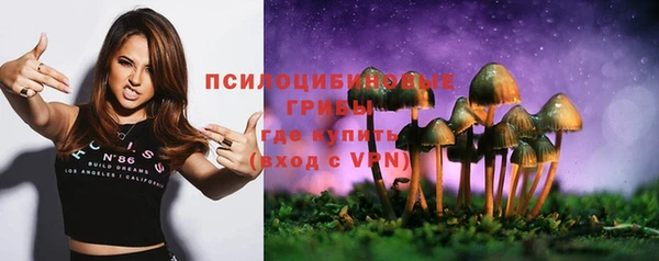 хмурый Алзамай
