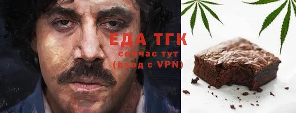 СК Алексин