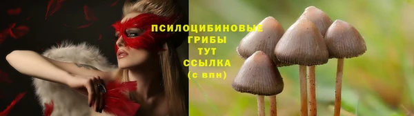 хмурый Алзамай