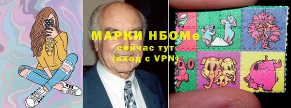 хмурый Алзамай