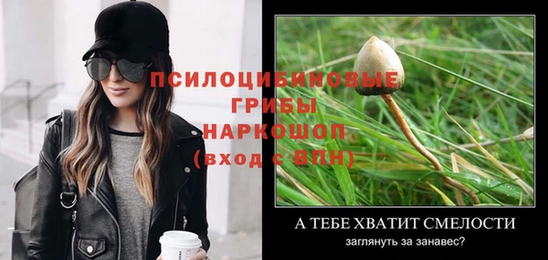 хмурый Алзамай