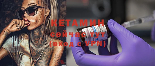 СК Алексин
