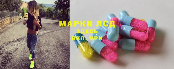 СК Алексин