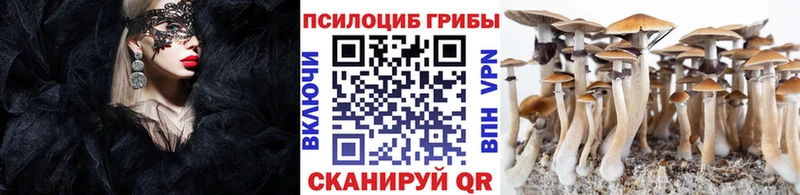 как найти   Унеча  Галлюциногенные грибы MAGIC MUSHROOMS 